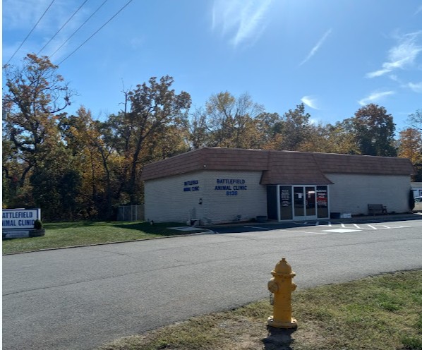 rabbit spaying near me virginia