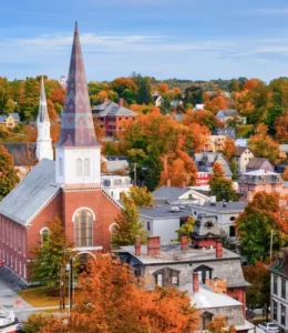 Rabbit Veterinarians Vermont