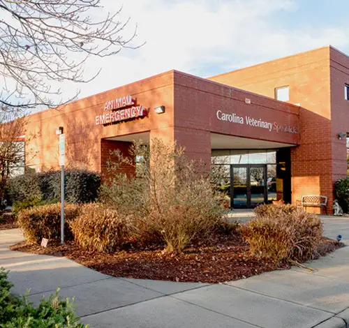 best rabbit vets near me