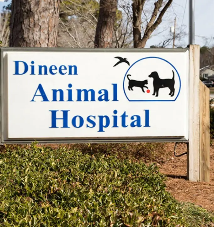 vets that take rabbits near me