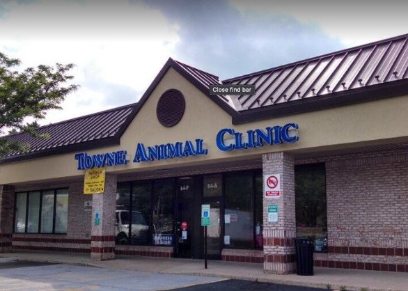 rabbit vet near me virginia